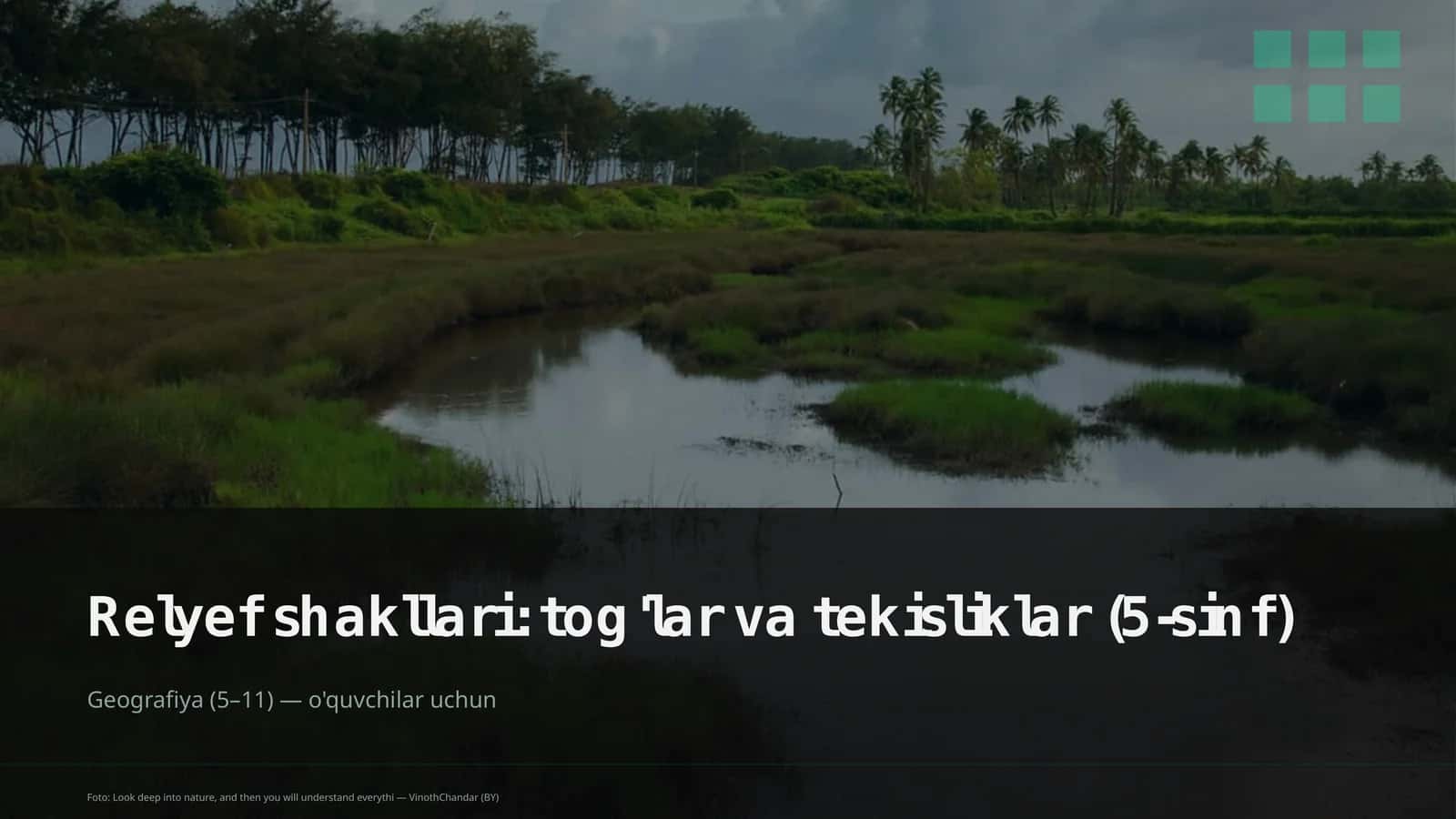 Relyef shakllari: tog'lar va tekisliklar (5-sinf) 1