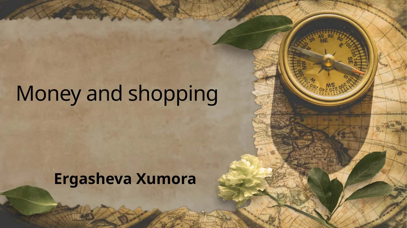 Money and shopping 1