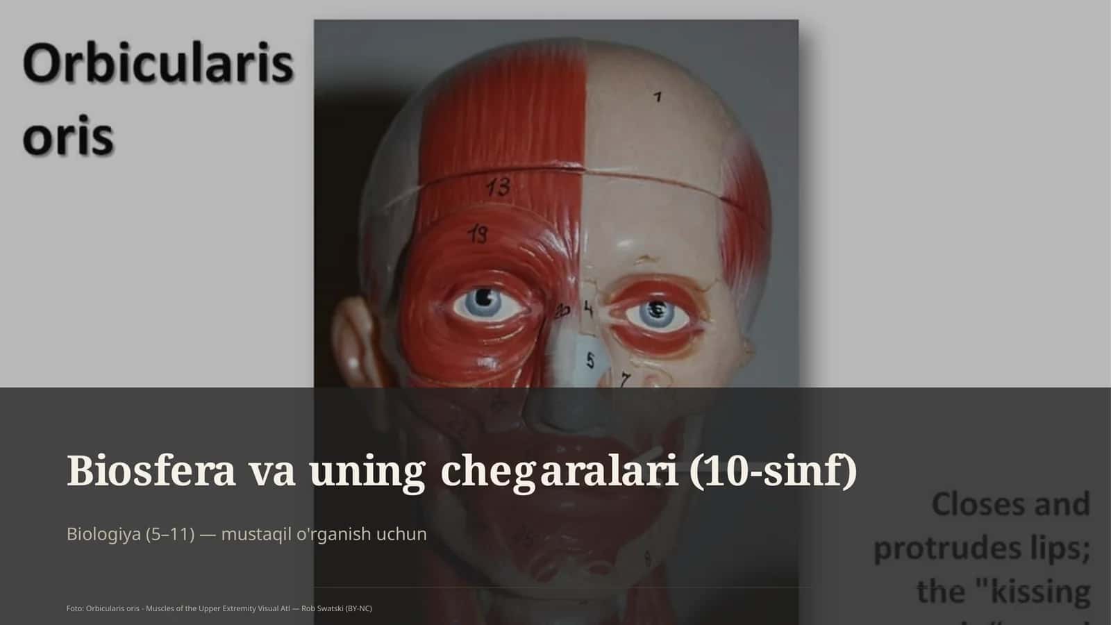 Biosfera va uning chegaralari (10-sinf) 1