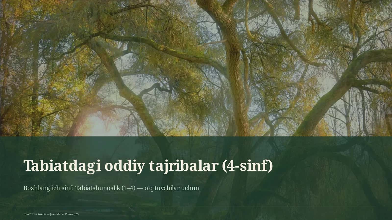 Tabiatdagi oddiy tajribalar (4-sinf) 1