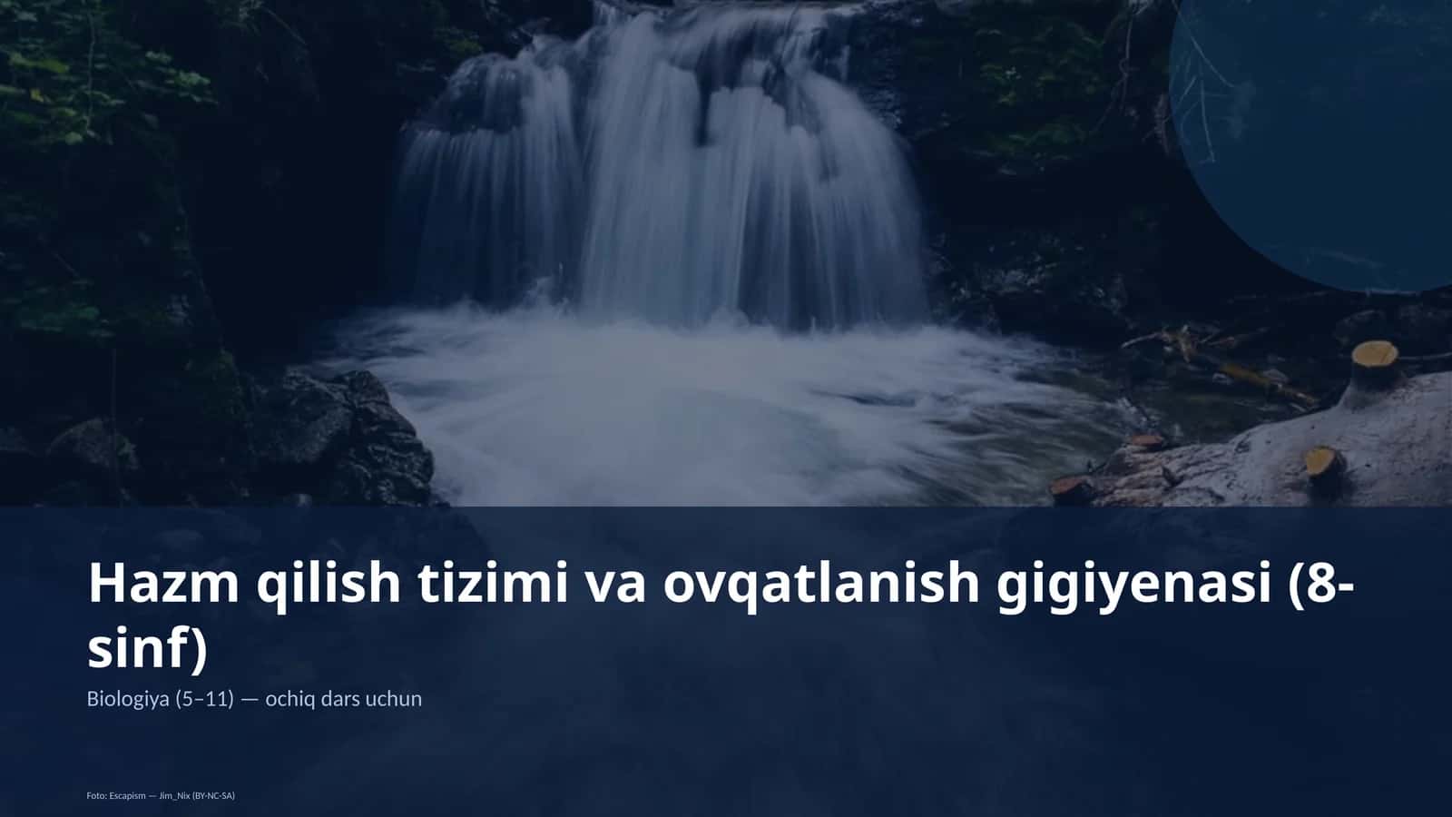 Hazm qilish tizimi va ovqatlanish gigiyenasi (8-sinf) 1