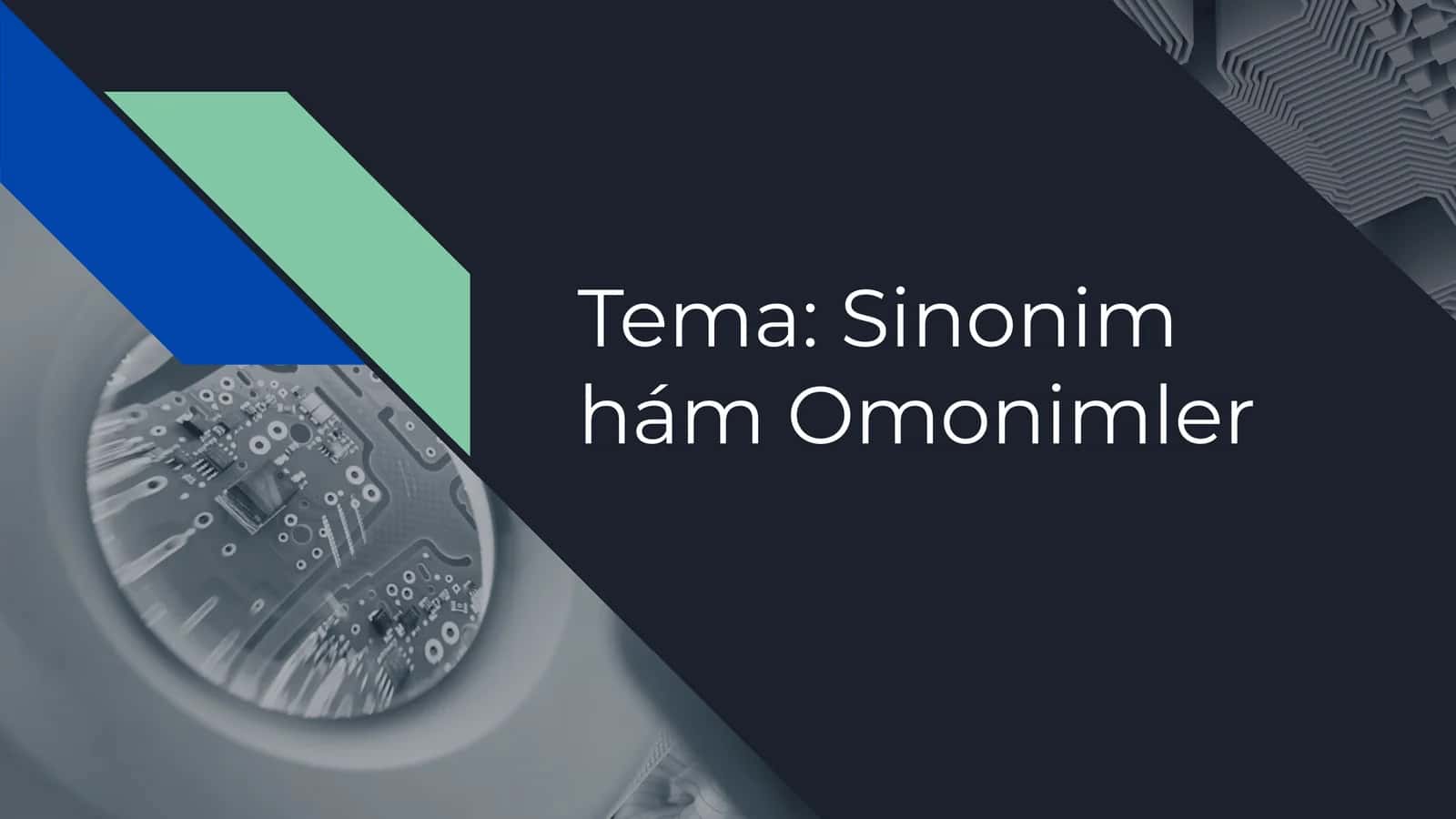 Sinonim hám Omonimler 1