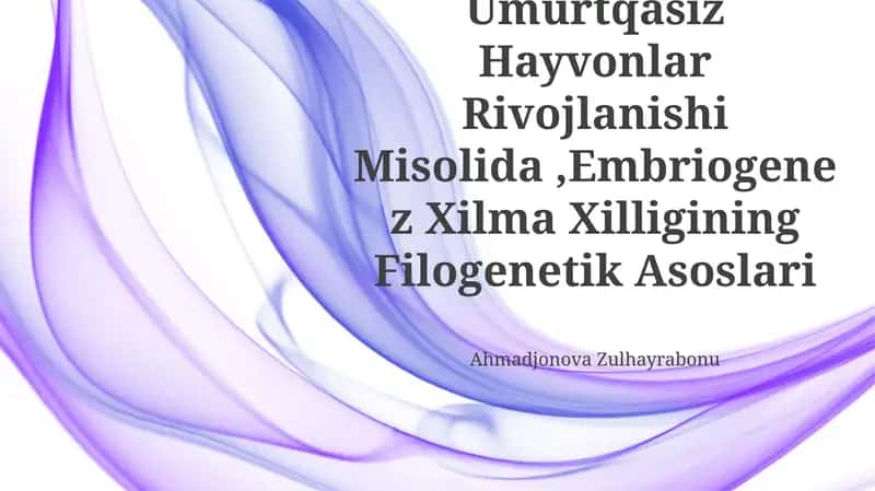 Umurtqali Va Umurtqasiz Hayvonlar Rivojlanishi Misolida,Embriogenez Xilma Xilligining Filogenetik Asoslari 1