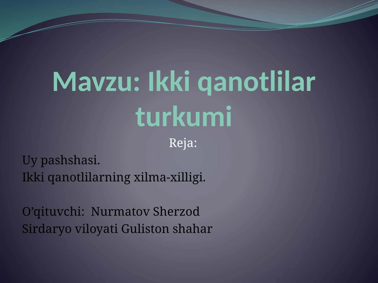 Ikkiqanotlilarturkumi 1