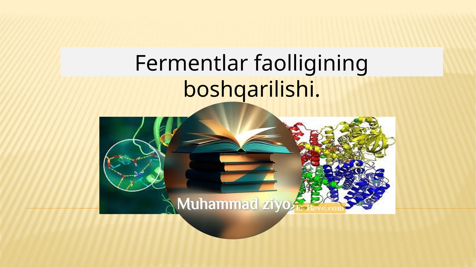 Fermentlar faolligining boshqarilishi 1