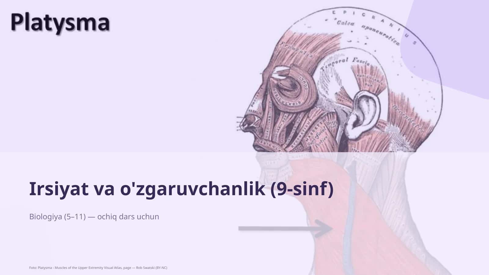 Irsiyat va o'zgaruvchanlik (9-sinf) 1