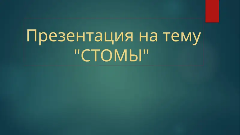 Презентация на тему"СТОМЫ" 1