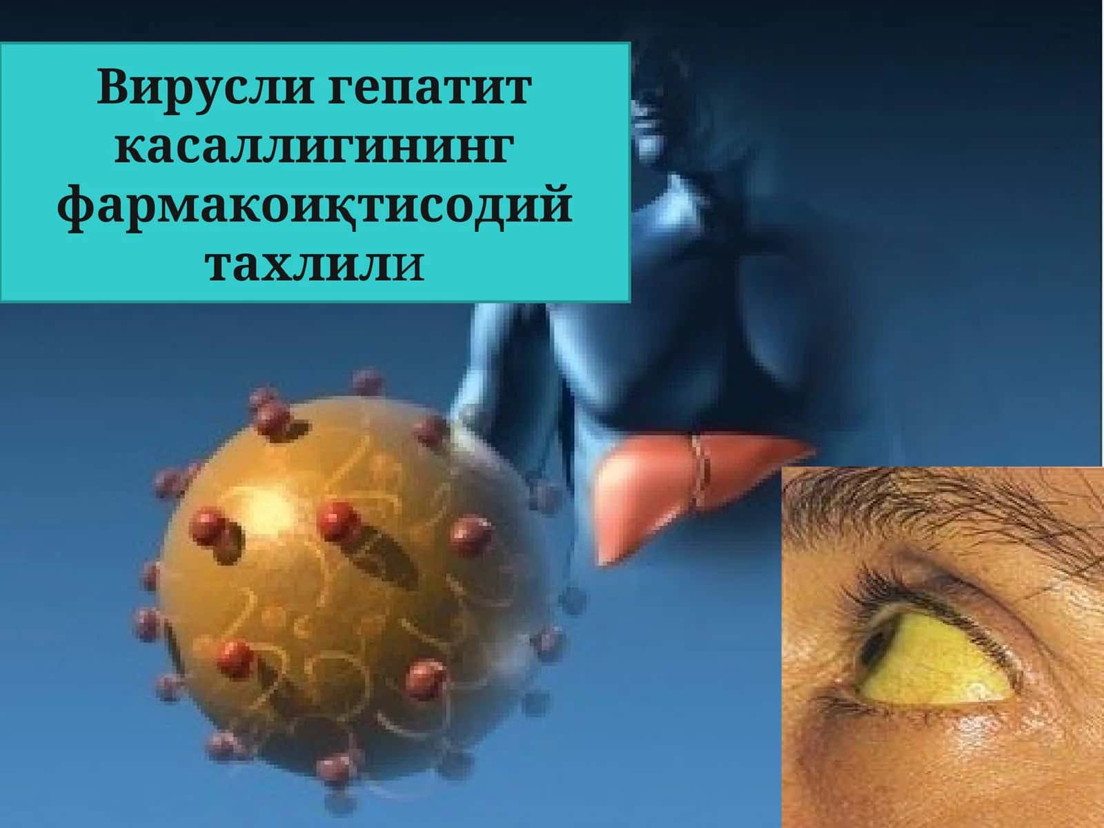 Вирусные гепатиты 1