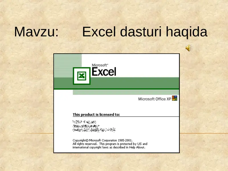 Excel dasturi 1