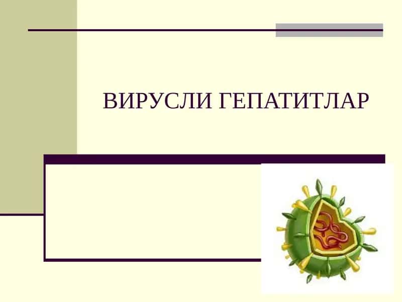 ВИРУСЛИГЕПАТИТЛАР 1