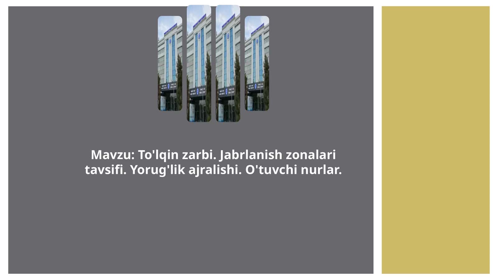 Mavzu: To'lqin zarbi. Jabrlanish zonalari tavsifi. Yorug'lik ajralishi. O'tuvchi nurlar. 1