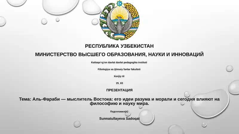 Презентация 1