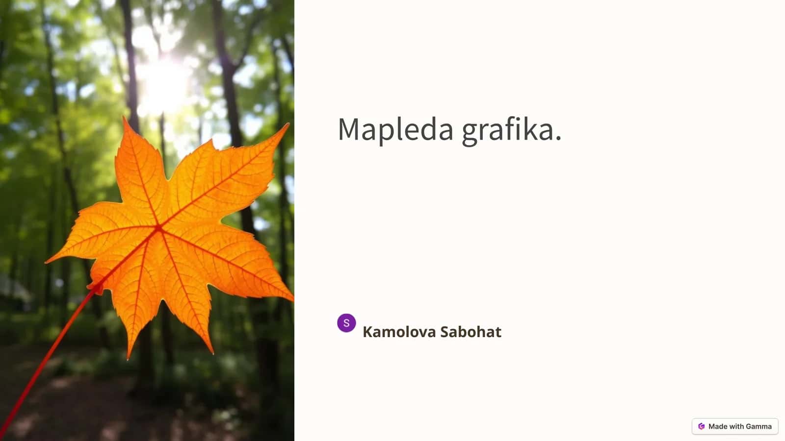 Mapledagrafika 1