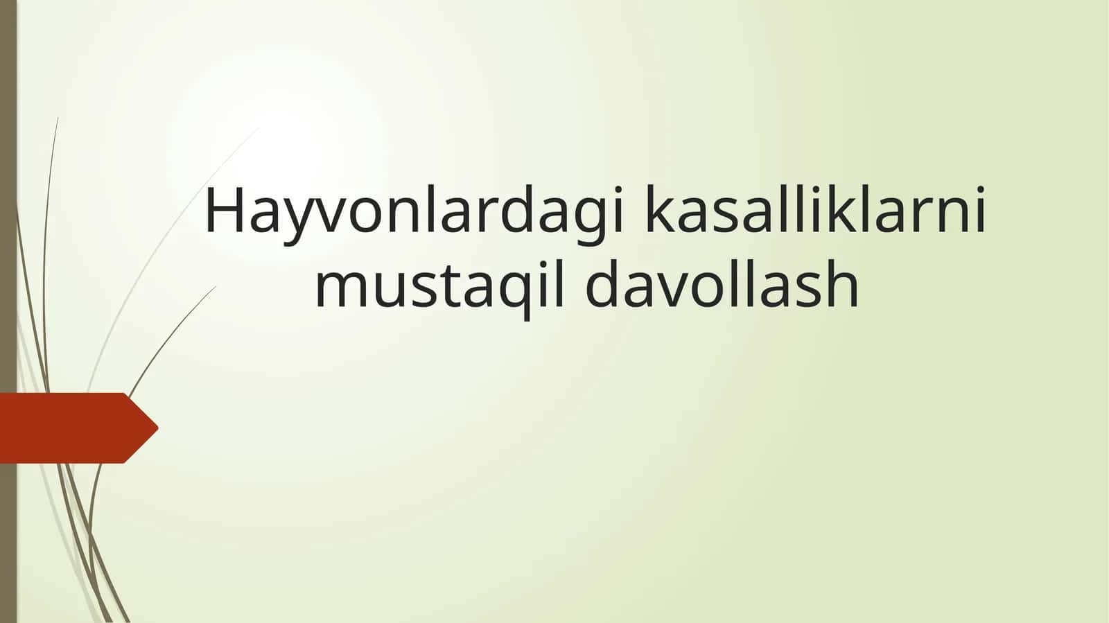 Hayvonlardagi kasalliklarni mustaqil davollash 1