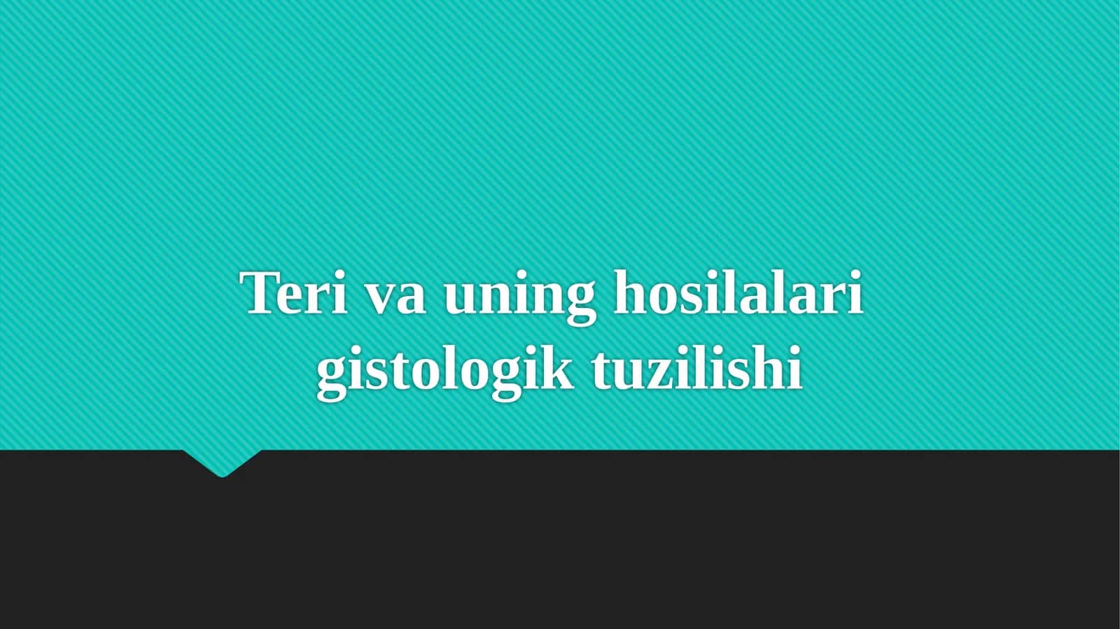 Teri va uning hosilalari gistologik tuzilishi 1