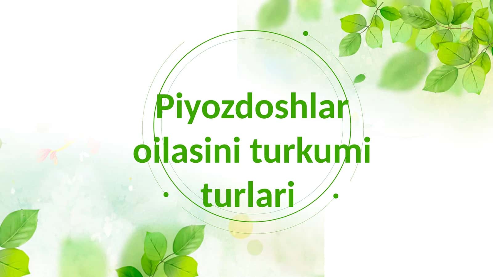 Piyozdoshlar oilasini turkum turlari 1