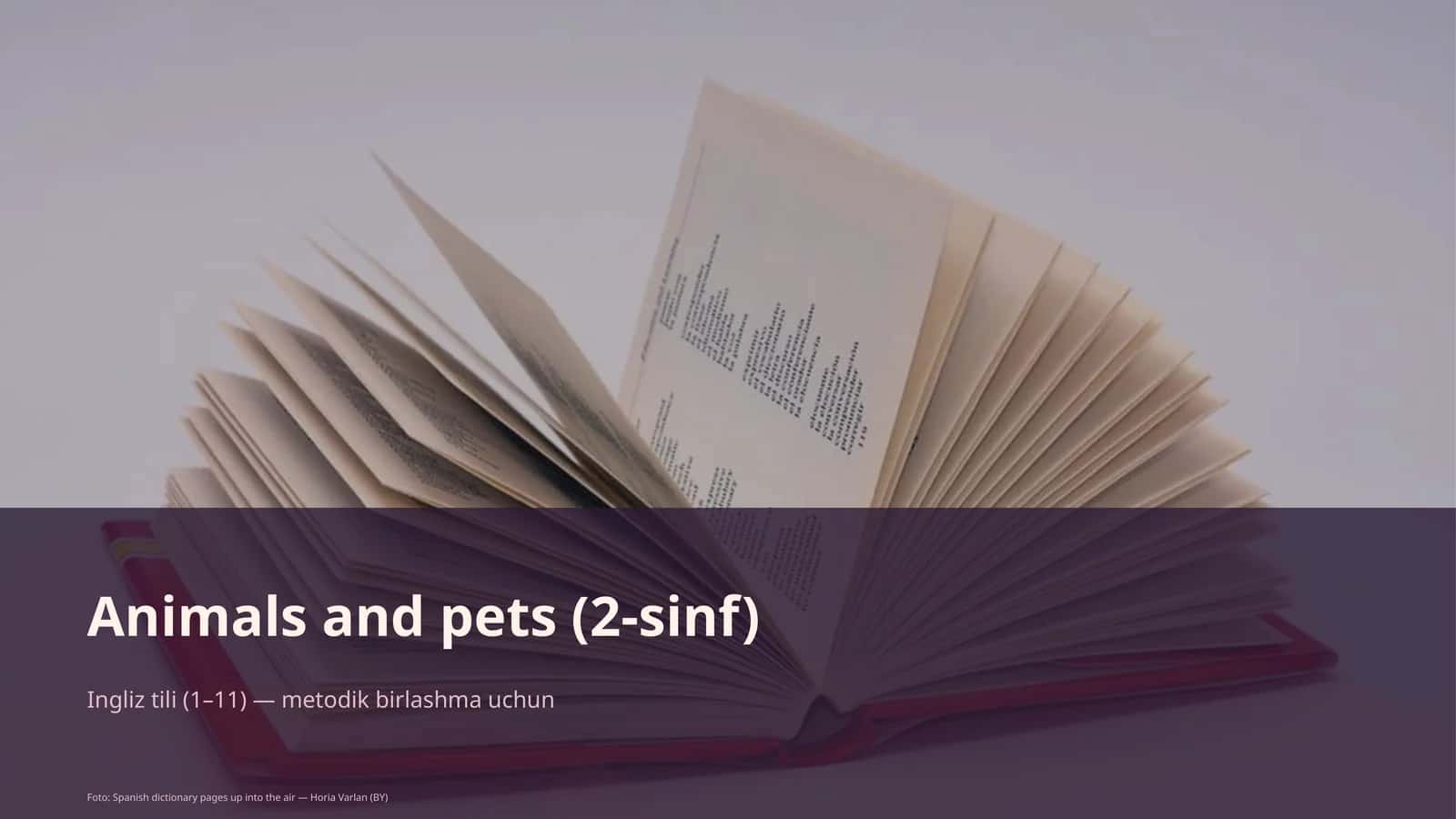Animals and pets (2-sinf) 1