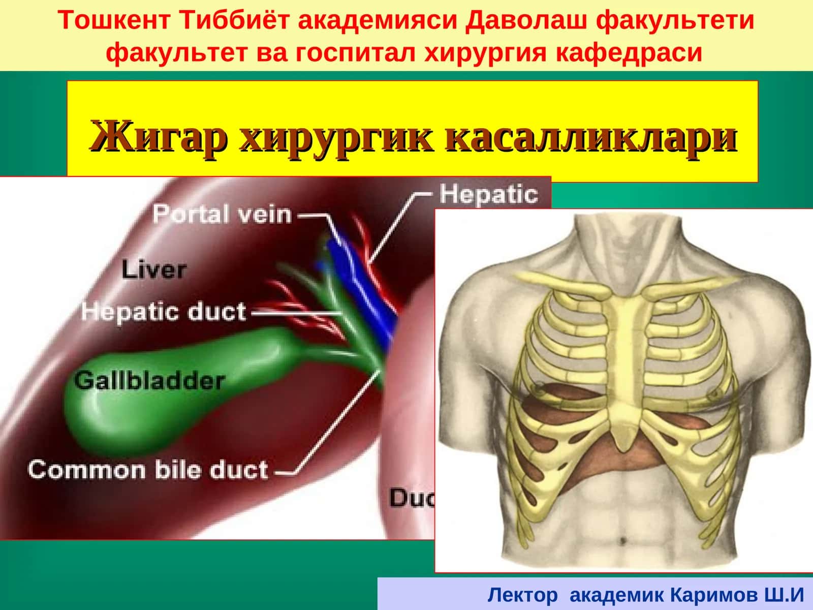 Жигар хирургик касалликлари 1