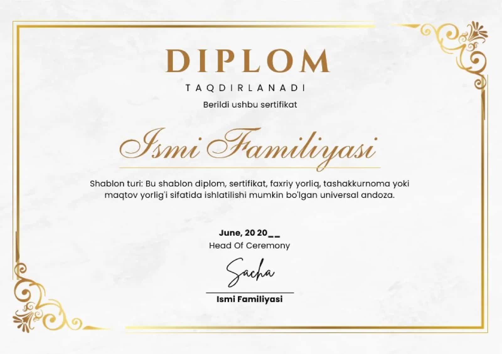 DIPLOM 1