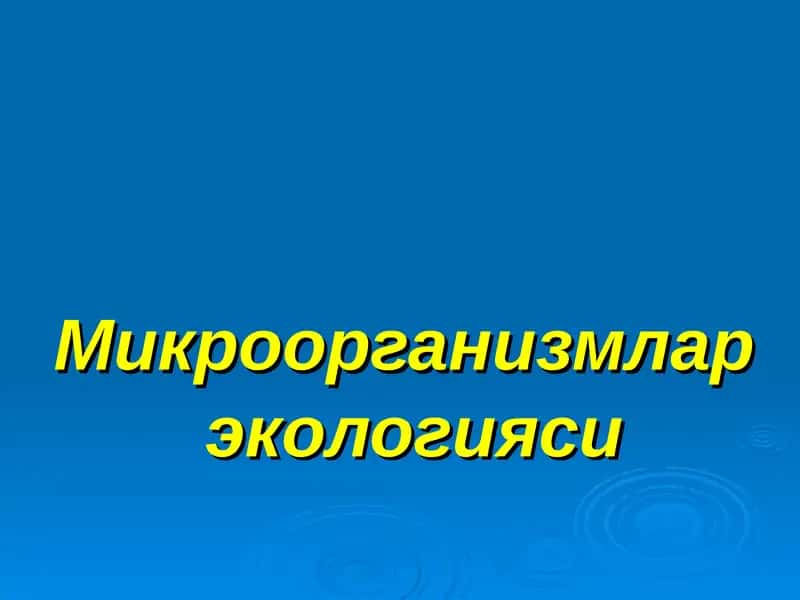 Микроорганизмлар  экологияси 1