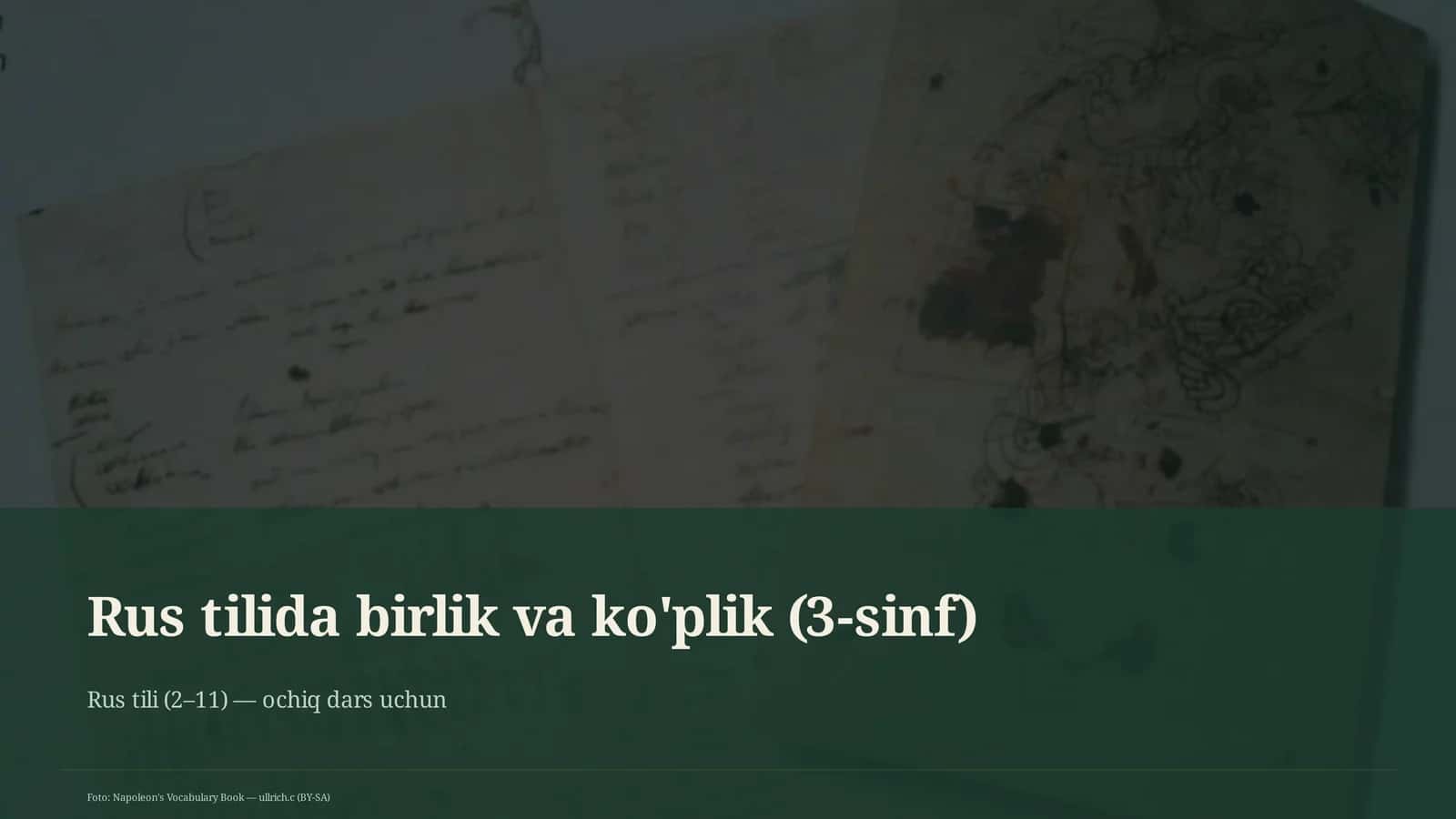 Rus tilida birlik va ko'plik (3-sinf) 1