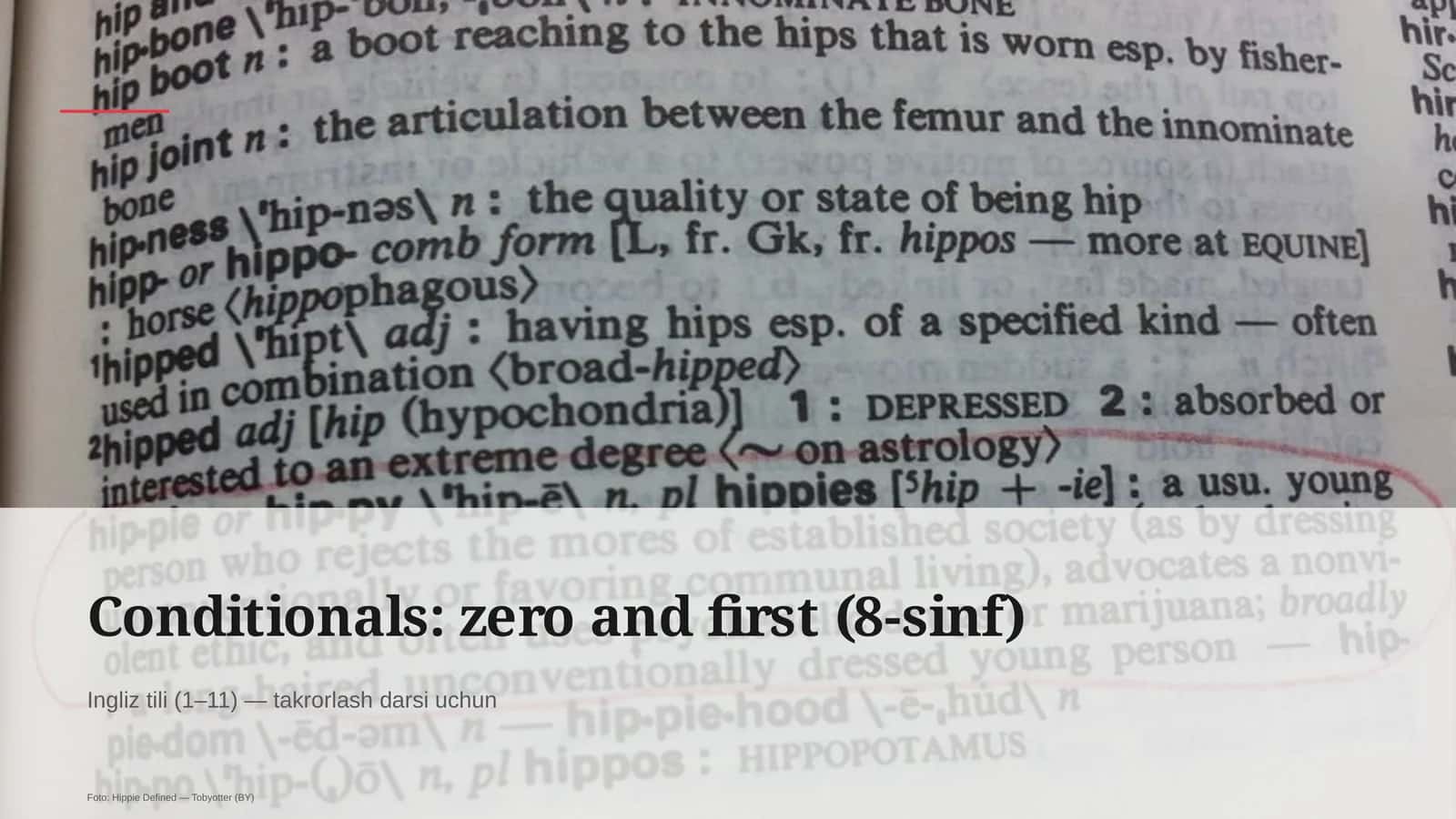Conditionals: zero and first (8-sinf) 1
