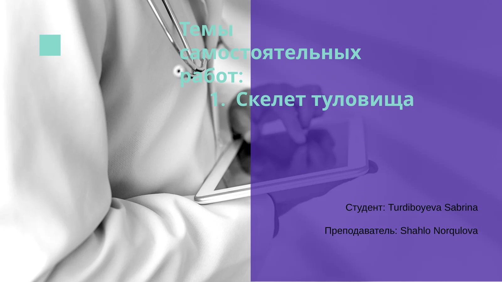 Скелет туловища 1