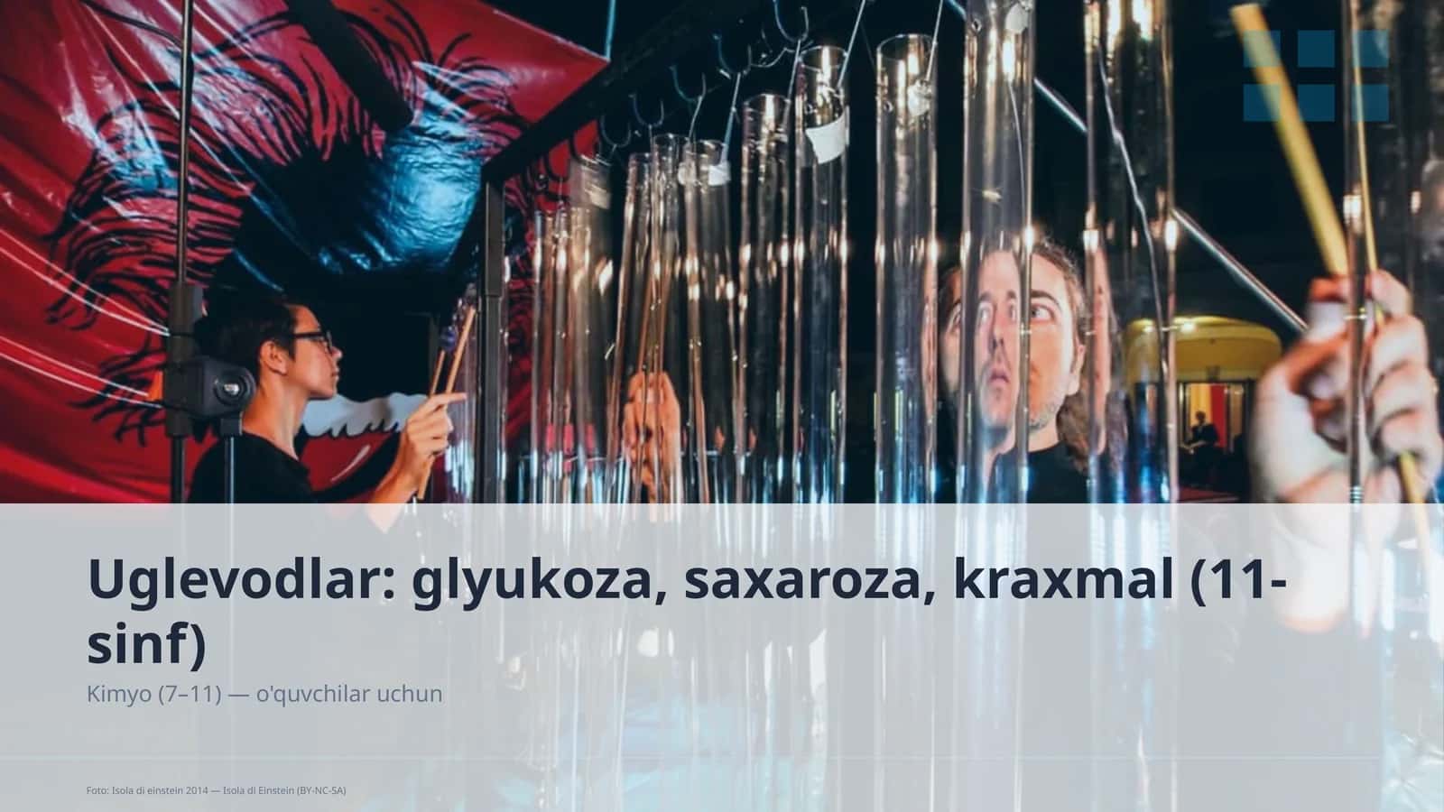 Uglevodlar: glyukoza, saxaroza, kraxmal (11-sinf) 3