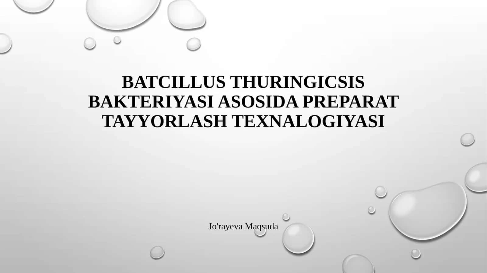 Batcillus thuringicsis bakteriyasi asosida preparat tayyorlash texnalogiyasi 1
