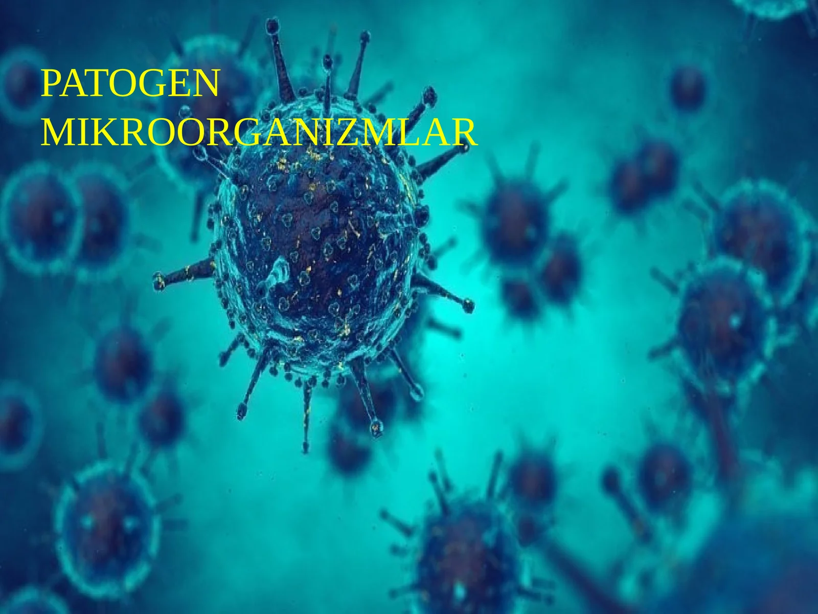 Patogen mikroorganizmlar 1