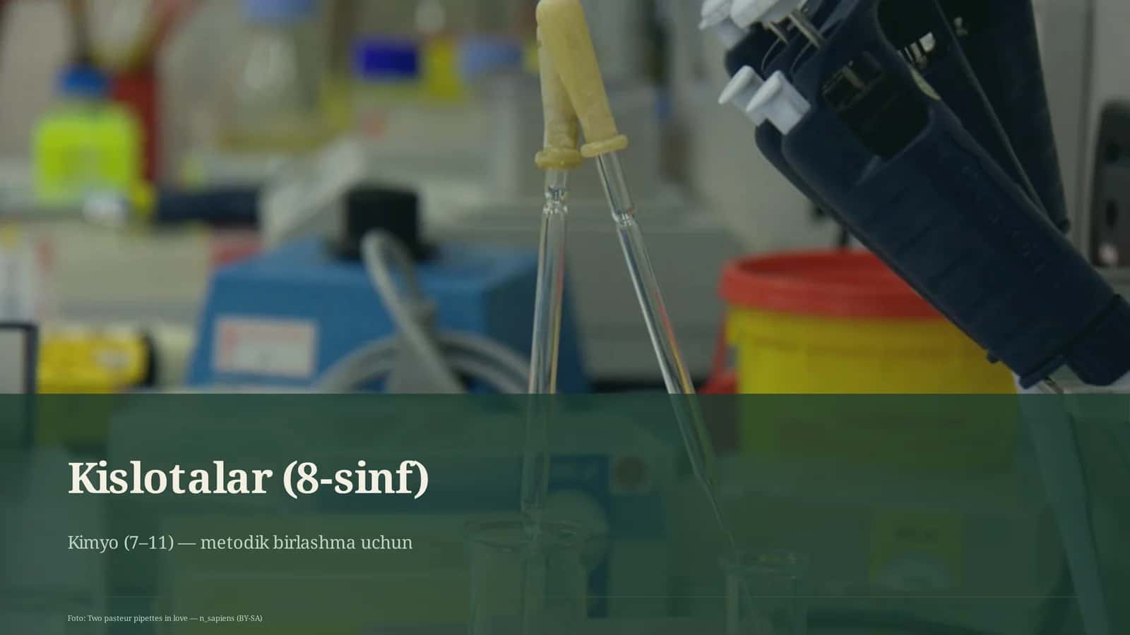 Kislotalar (8-sinf) 1