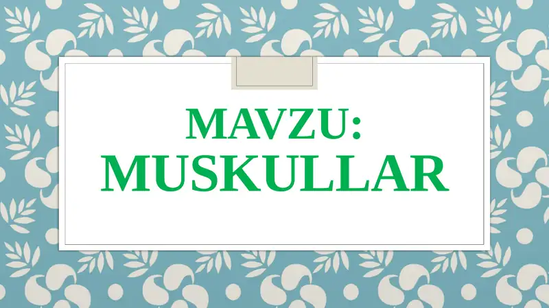 Muskullar 1