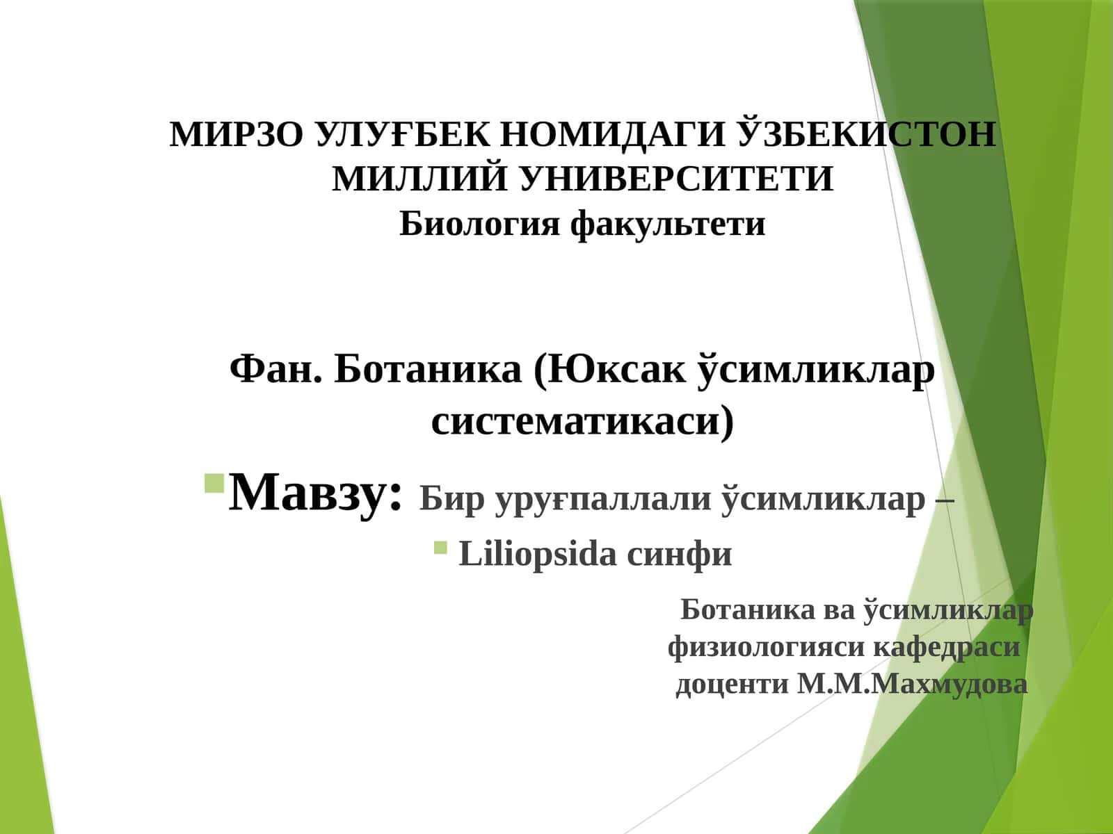 Бируруғпаллалиўсимликлар – Liliopsida синфи 1