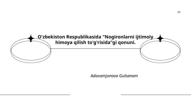 Nogironlarni ijtimoiy himoya qilish to'g'risida qonuni 1
