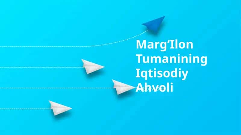 MargʻIlon Tumanining Iqtisodiy Ahvoli 1