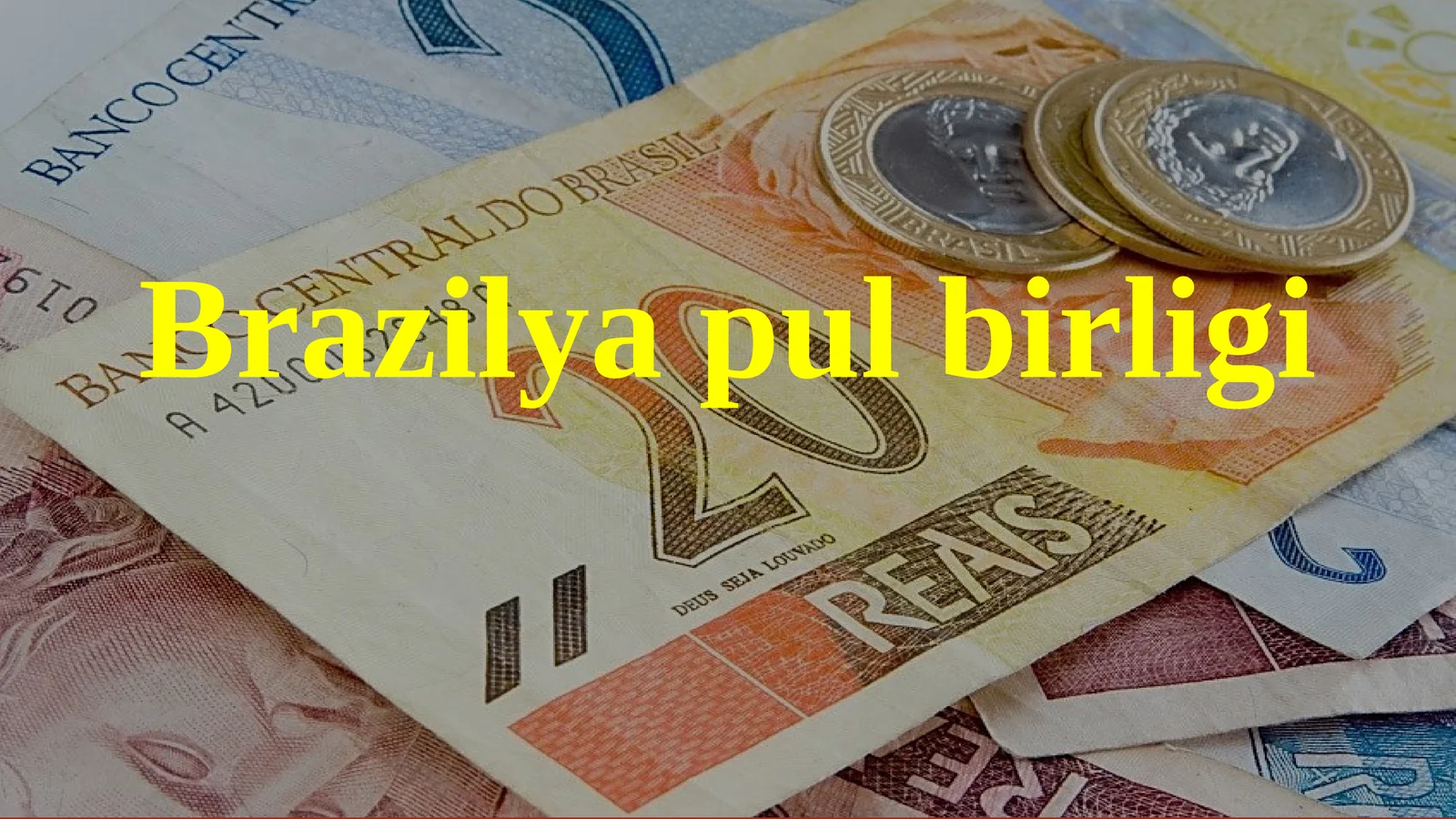 Brazilya pul birligi 1