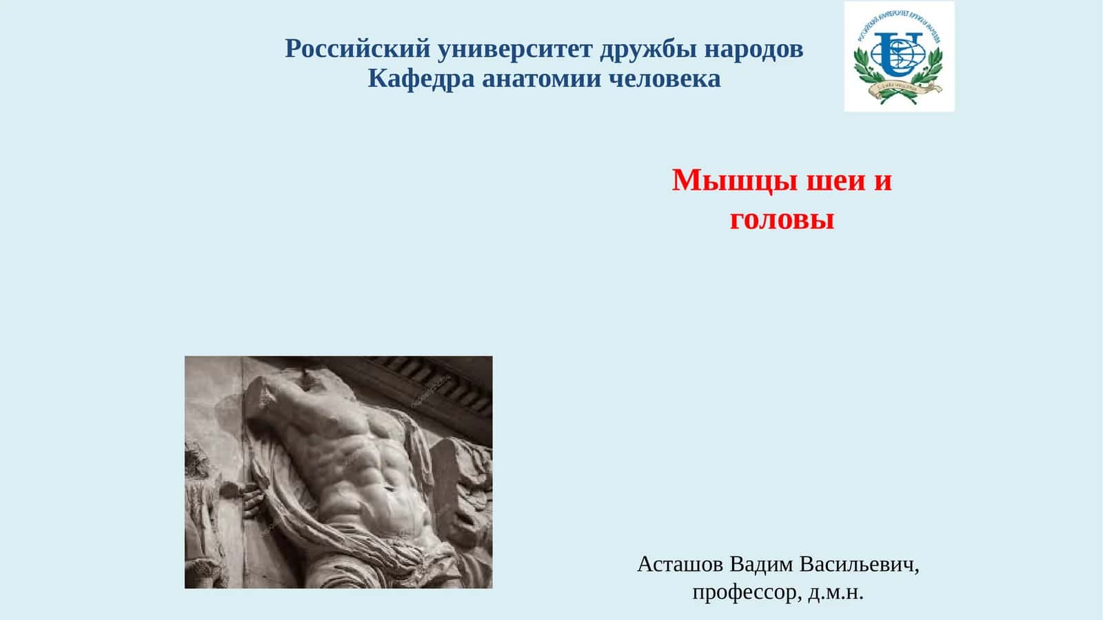 Мышцы шеи и головы 1