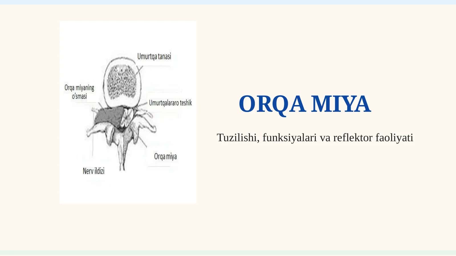 ORQA MIYA 1