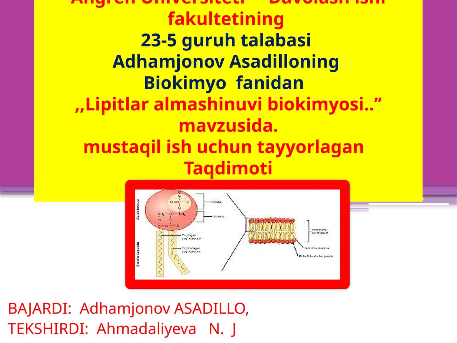 Lipitlar almashtiruvi biokimyosi 1