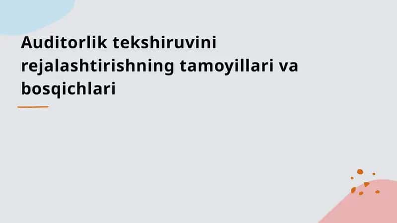 Auditorlik tekshiruvi-nirejalashtirishning tamoyillari va bosqichlari 1