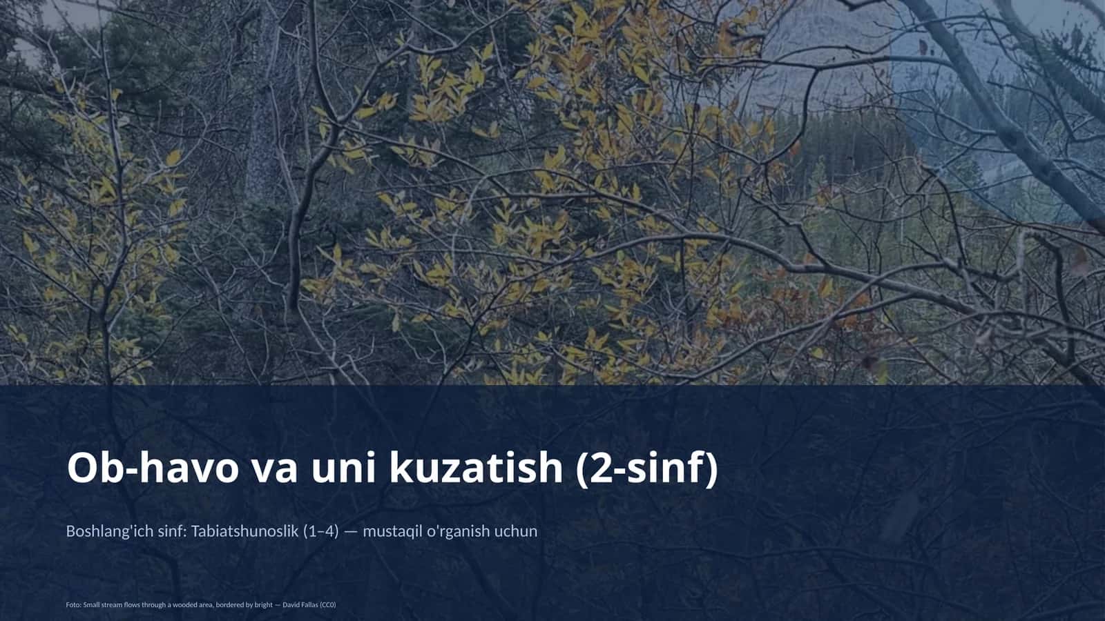 Ob-havo va uni kuzatish (2-sinf) 3