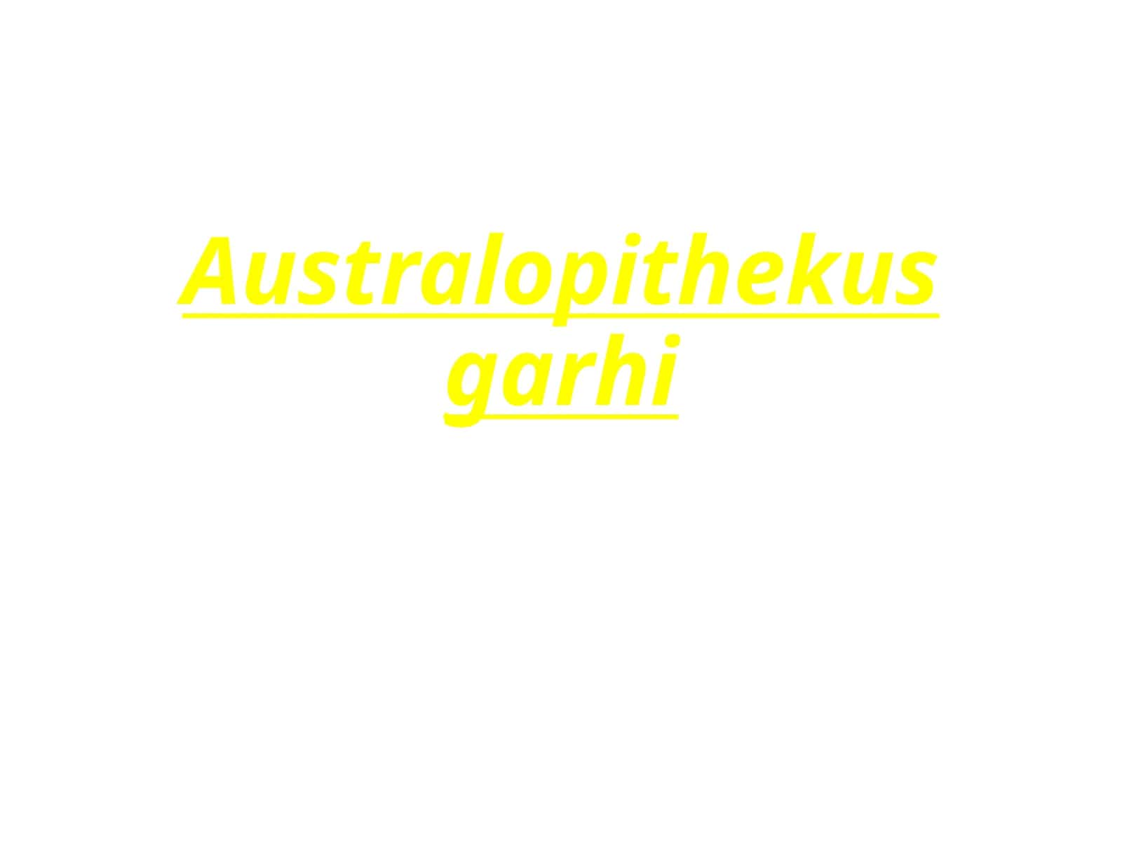 Australopithekusgarhi 1