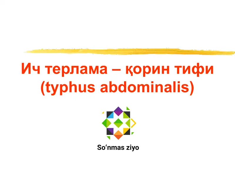 Корин тифи (typhus abdominalis) 1