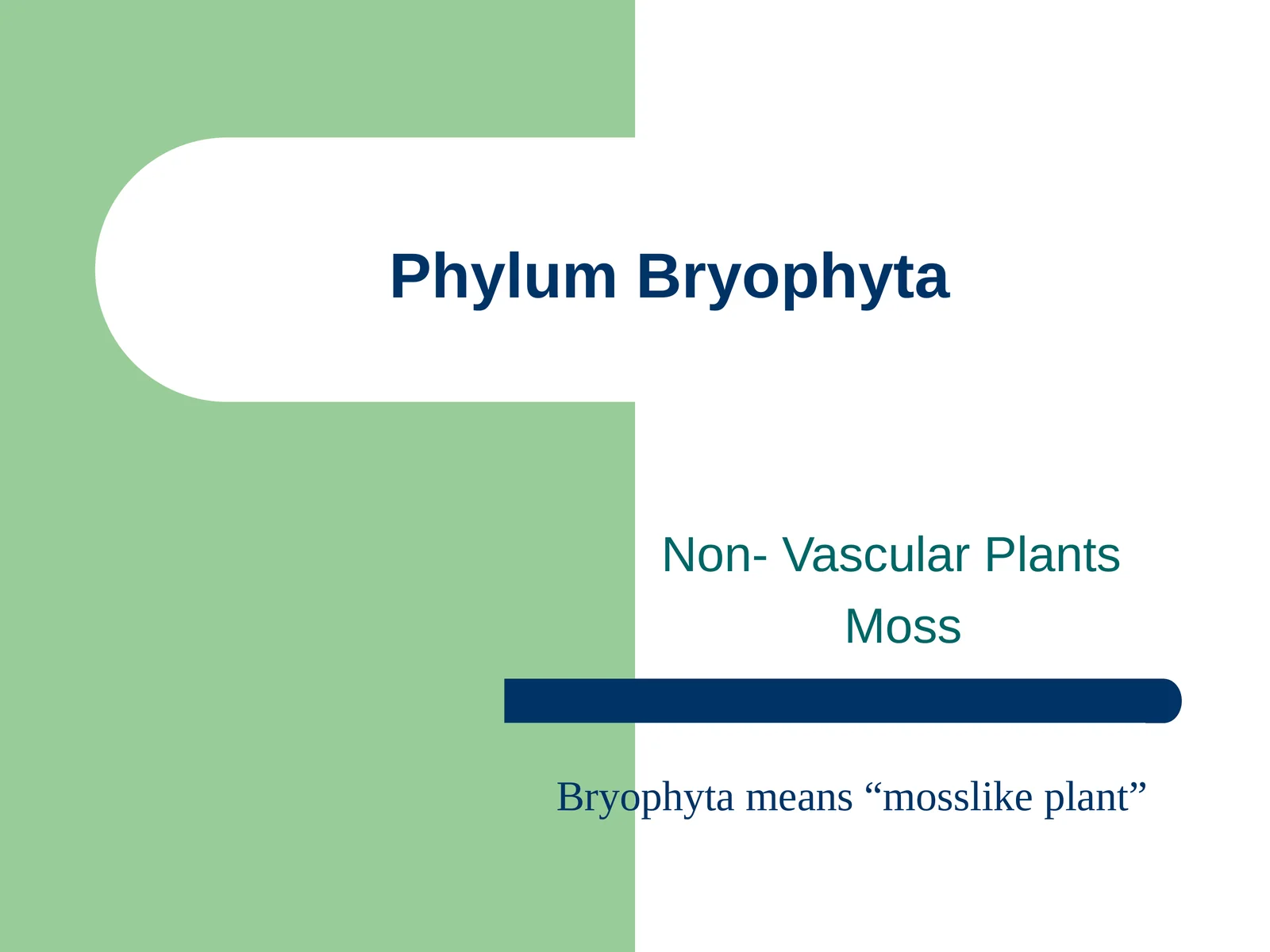 Phylum Bryophyta 1