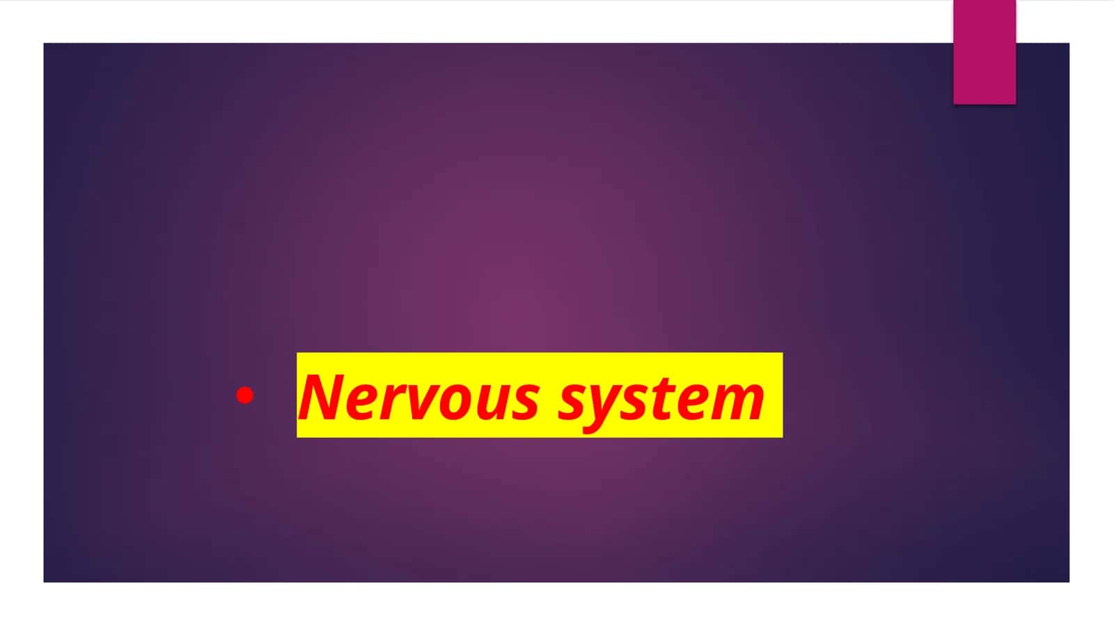 Nervous system 1