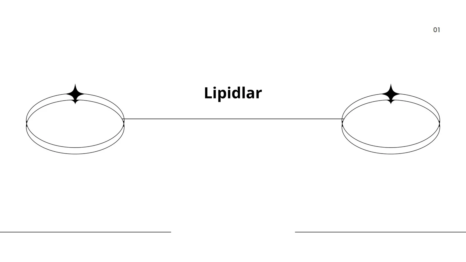 Lipidlar 1