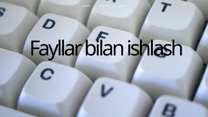 Fayllar bilan ishlash 1
