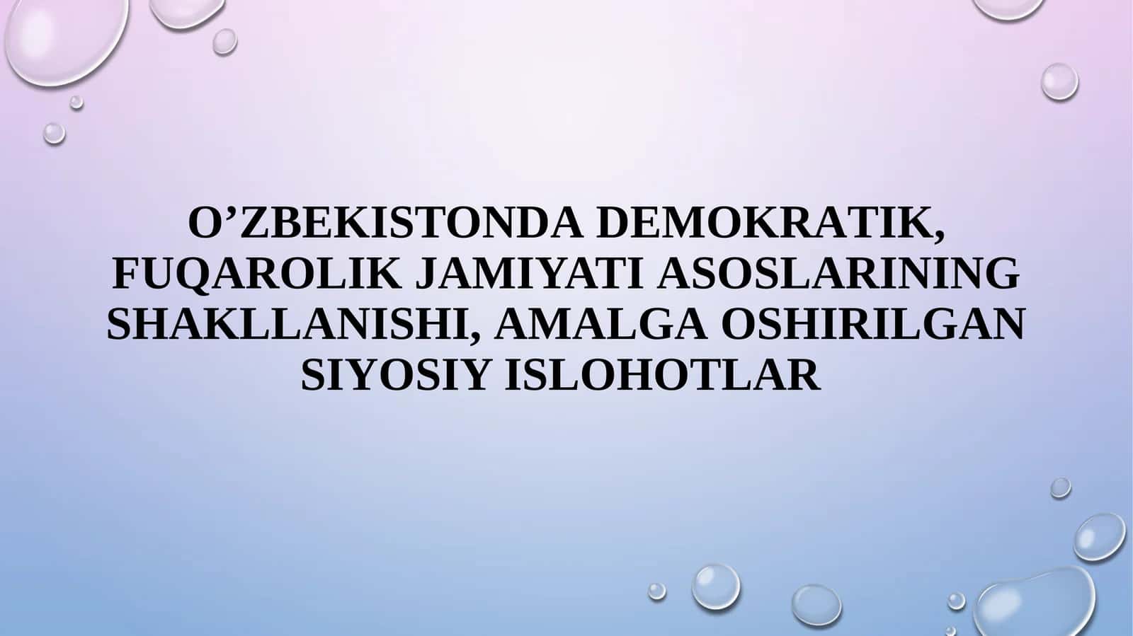 O'zbekistonda Demokratik, Fuqarolik Jamiyatia Soslarining Shakllanishi, Amalga Oshirilgan Siyosiy Ishlar 1