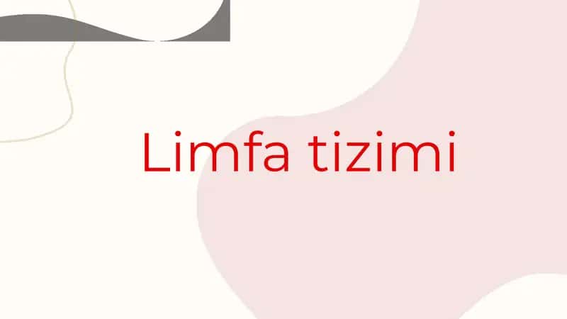 Limfa tizimi 1