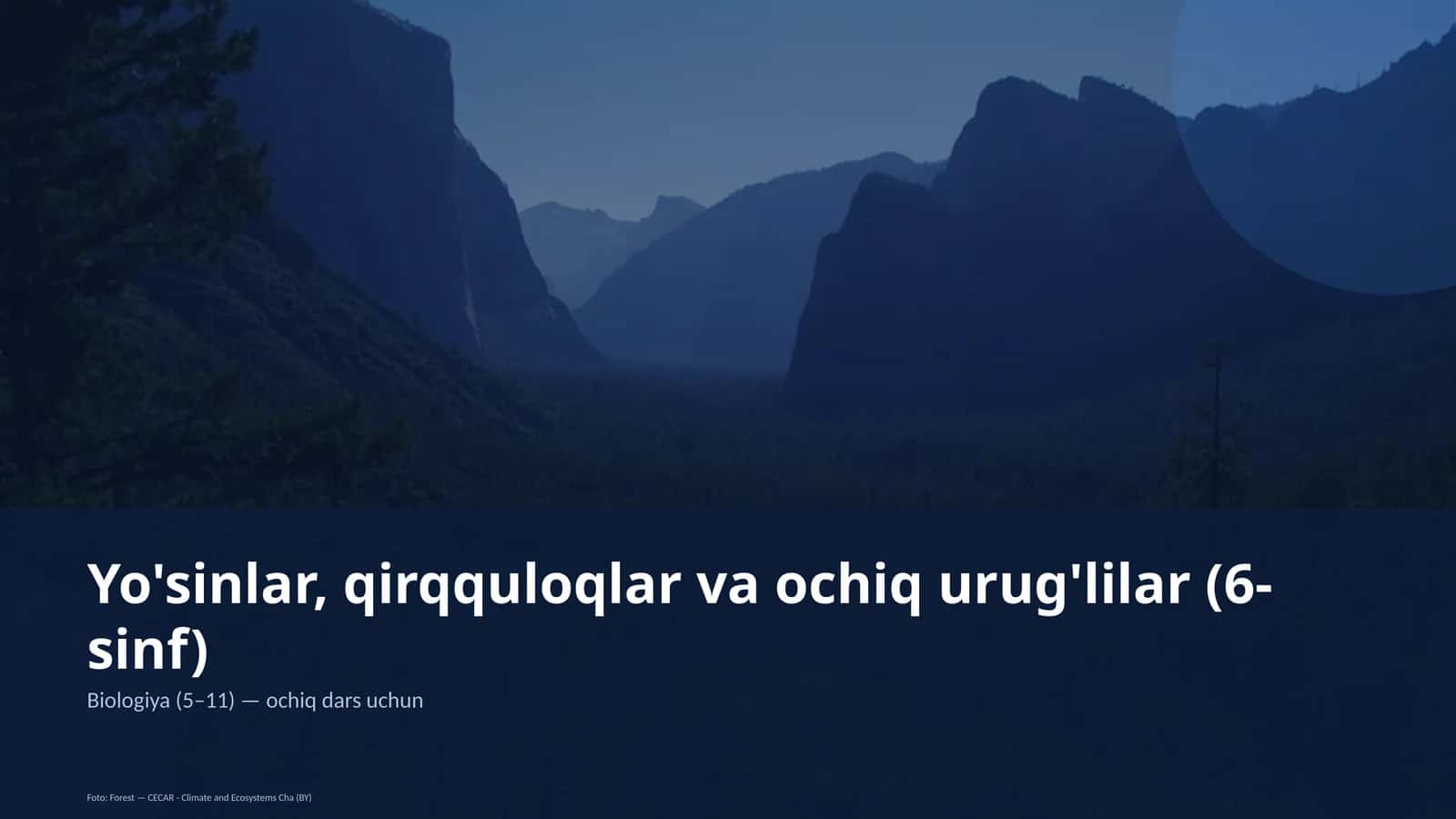 Yo'sinlar, qirqquloqlar va ochiq urug'lilar (6-sinf) 1